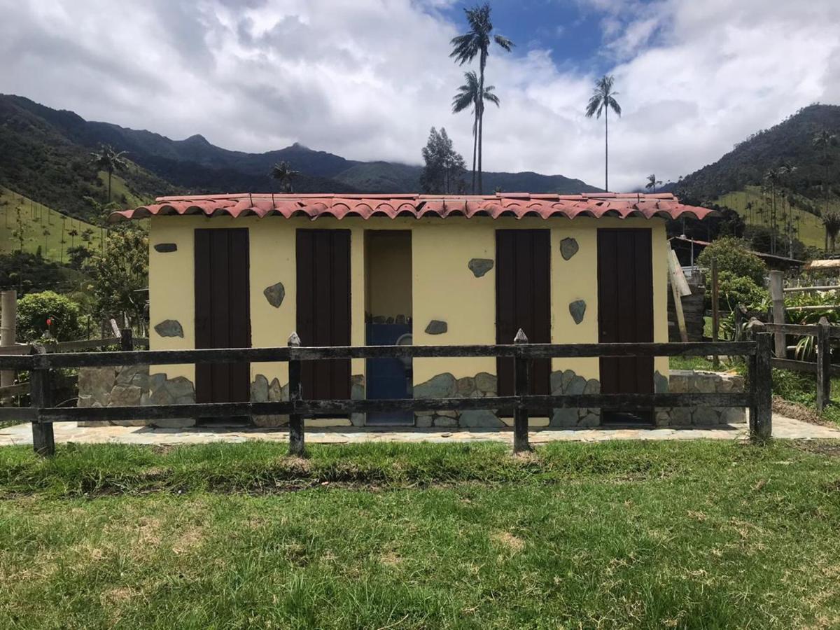 Refugio Nidos Del Condor Cocora Salento Extérieur photo